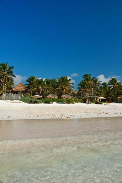 فيلا Playa Selva تولوم المظهر الخارجي الصورة