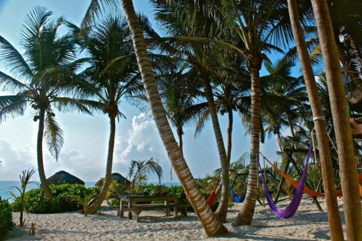 فيلا Playa Selva تولوم المظهر الخارجي الصورة